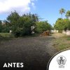 Santa Casa retoma mutirão de limpeza no Escolástica Rosa